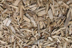biomass boilers Redenhall
